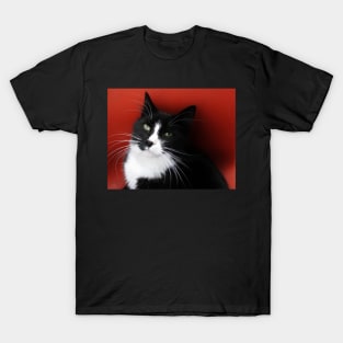 Handsome Harvey T-Shirt